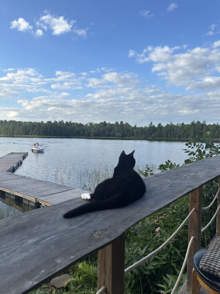 Paka